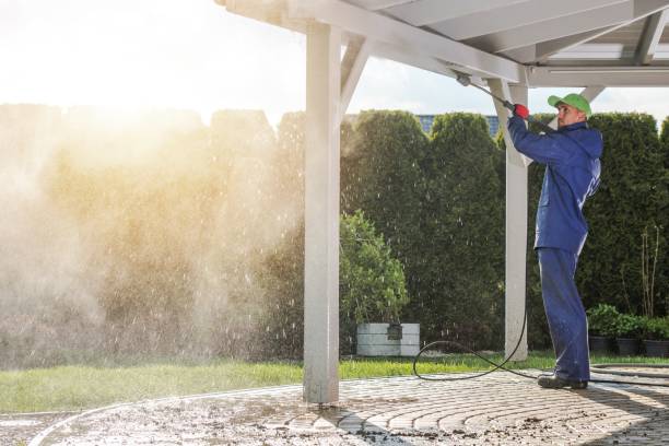 Best Rust Removal  in Eagan, MN